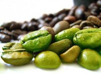 The Fat Burning Ability of Green Coffee Beans